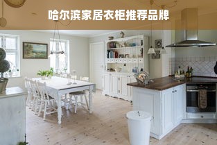 哈尔滨家居衣柜推荐品牌