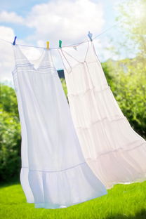梨花开汉服夏款，国风美学与清凉穿搭的完美碰撞