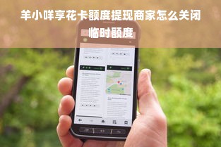 抖音月付额度怎么套出来？抖音月付怎么看总额度？