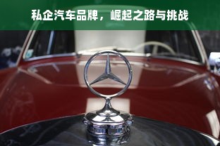 私企汽车品牌，崛起之路与挑战