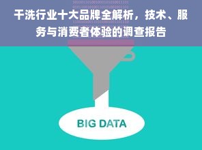 干洗行业十大品牌全解析，技术、服务与消费者体验的调查报告