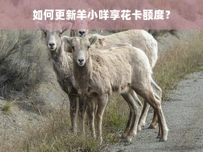 圣德尔板材，从环保材料到家居革命的领航者