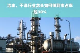 洁丰，干洗行业龙头如何做到市占率超30%