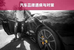 汽车品牌通病与对策