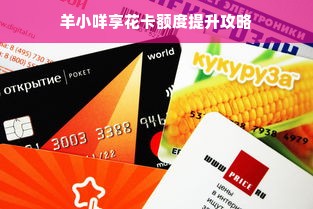 青海餐饮品牌加盟代理，商机、策略与成功案例