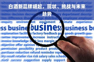 白酒新品牌崛起，现状、挑战与未来趋势