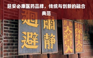 延安必康医药品牌，传统与创新的融合典范