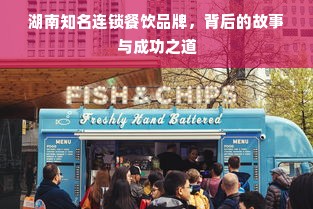 医药品牌策划方案报价详解