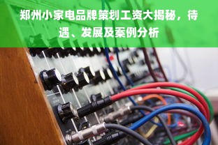 郑州小家电品牌策划工资大揭秘，待遇、发展及案例分析