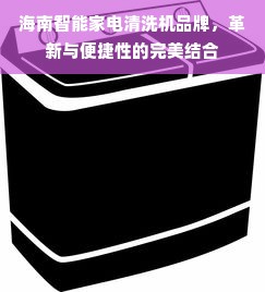 海南智能家电清洗机品牌，革新与便捷性的完美结合