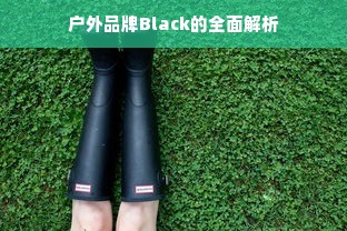 揭秘京东白条，如何提升额度及取消涨额度的实用指南