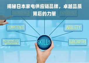 揭秘日本家电供应链品牌，卓越品质背后的力量