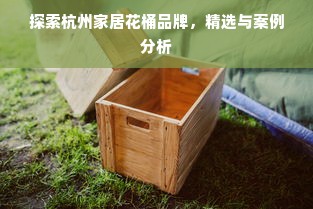 探索杭州家居花桶品牌，精选与案例分析