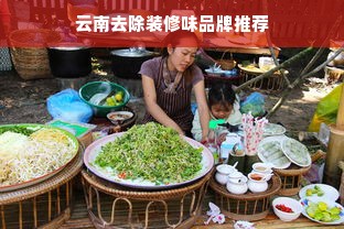 云南去除装修味品牌推荐