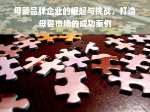 京东白条额度提升攻略，商家套现技巧与案例分析