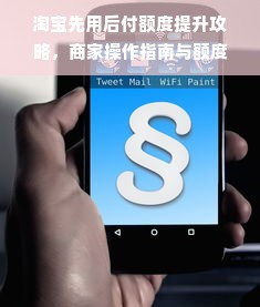 淘宝先用后付额度提升攻略，商家操作指南与额度提升技巧