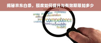 揭秘京东白条，额度如何提升与有效期限知多少