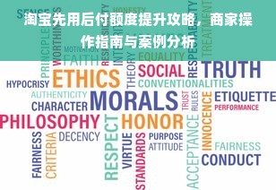 淘宝先用后付额度提升攻略，商家操作指南与案例分析