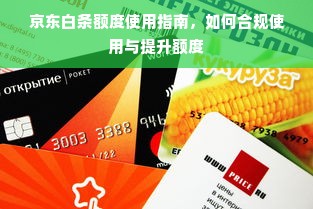 京东白条额度使用指南，如何合规使用与提升额度