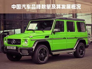 中国汽车品牌数量及其发展概况