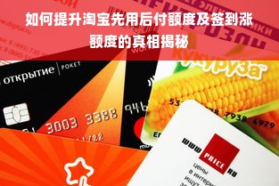 淘宝先用后付额度提现商家如何套现？