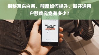 揭秘京东白条，额度如何提升，新开通用户额度究竟有多少？