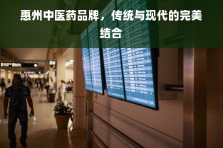惠州中医药品牌，传统与现代的完美结合