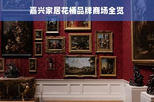 嘉兴家居花桶品牌商场全览