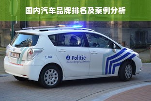 国内汽车品牌排名及案例分析