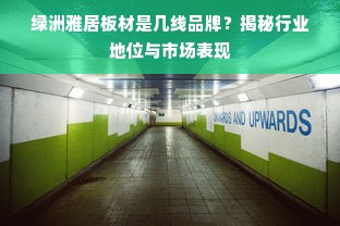 绿洲雅居板材是几线品牌？揭秘行业地位与市场表现