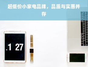 超低价小家电品牌，品质与实惠并存