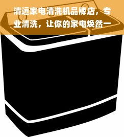 清远家电清洗机品牌店，专业清洗，让你的家电焕然一新