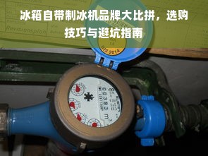 冰箱自带制冰机品牌大比拼，选购技巧与避坑指南