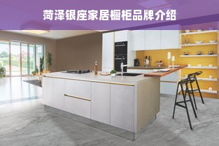菏泽银座家居橱柜品牌介绍