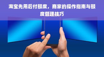 羊小咩便荔卡包额度操作指南，如何套出额度及查看已用额度详解