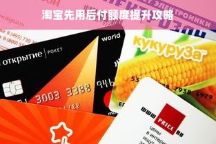 深圳肉松海苔蛋糕品牌崛起，从街边摊到网红打卡地的逆袭之路