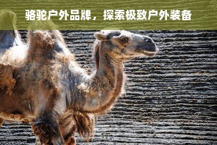 环氧油漆品牌穿搭指南，如何选对底妆打造理想空间？
