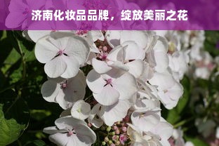 济南化妆品品牌，绽放美丽之花