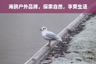 海鸥户外品牌，探索自然，享受生活