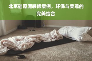 北京硅藻泥装修案例，环保与美观的完美结合