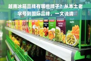 越南冰箱品牌有哪些牌子？从本土老字号到国际品牌，一文说清