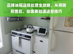 品牌冰箱运损处理全攻略，从预防到售后，你需要知道这些技巧