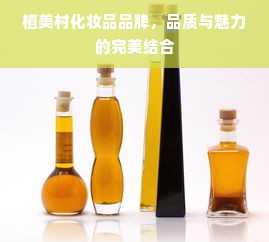 京东白条额度运用攻略，如何巧妙提升额度并分期购买手机