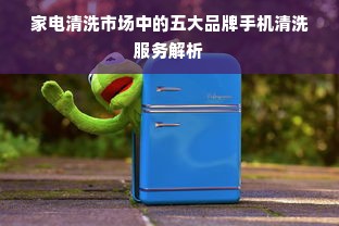 家电清洗市场中的五大品牌手机清洗服务解析
