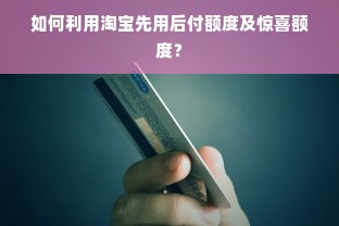 如何利用淘宝先用后付额度及惊喜额度？