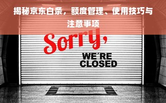 揭秘京东白条，额度管理、使用技巧与注意事项