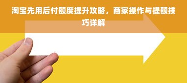 淘宝先用后付额度提升攻略，商家操作与提额技巧详解