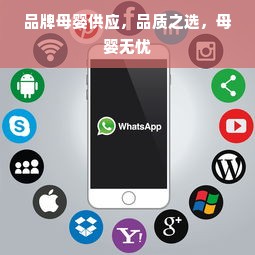 装修浇水品牌大盘点