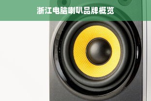 浙江电脑喇叭品牌概览