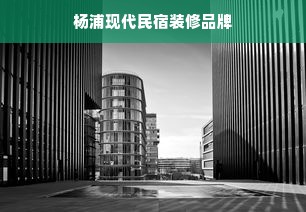 杨浦现代民宿装修品牌
